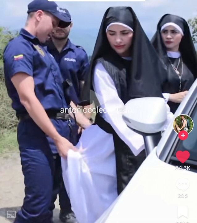 hot nun police