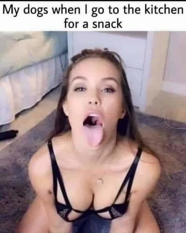 porn meme, brunette, cumshot