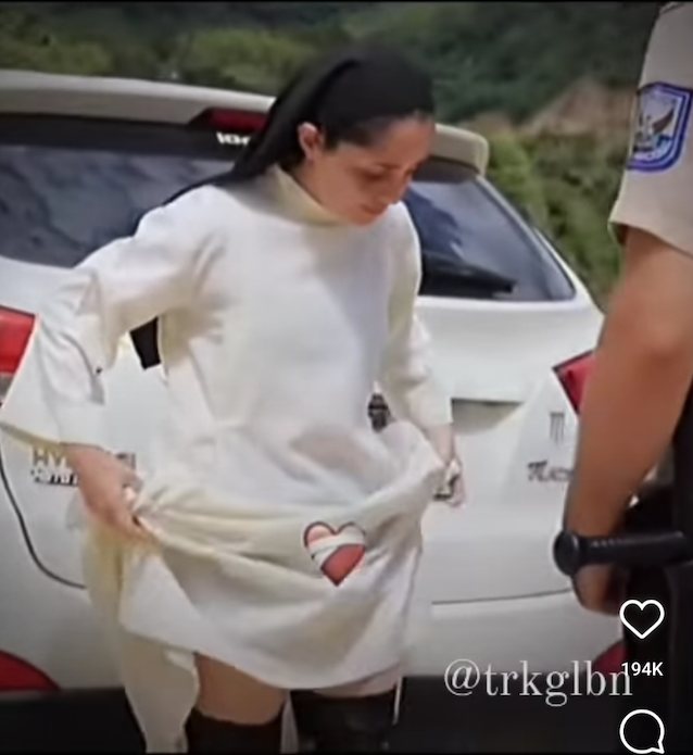 nun police checking