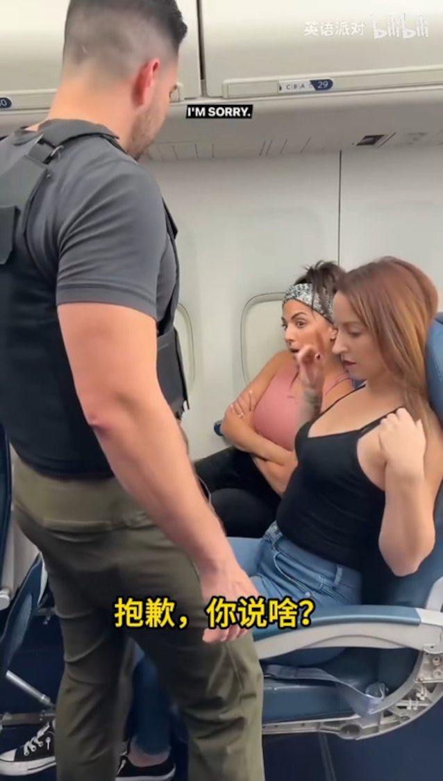 threesome, milf, airplane