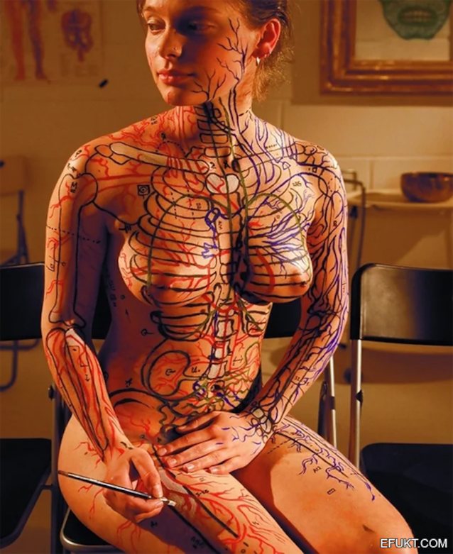 anatomy, bizarre, painting, body art, brunette