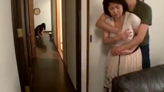 japanese, jav, milf, cheating, incest