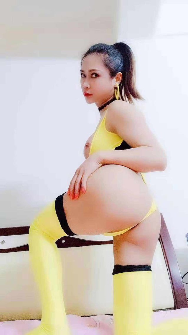 ladyboy shemale tgirl