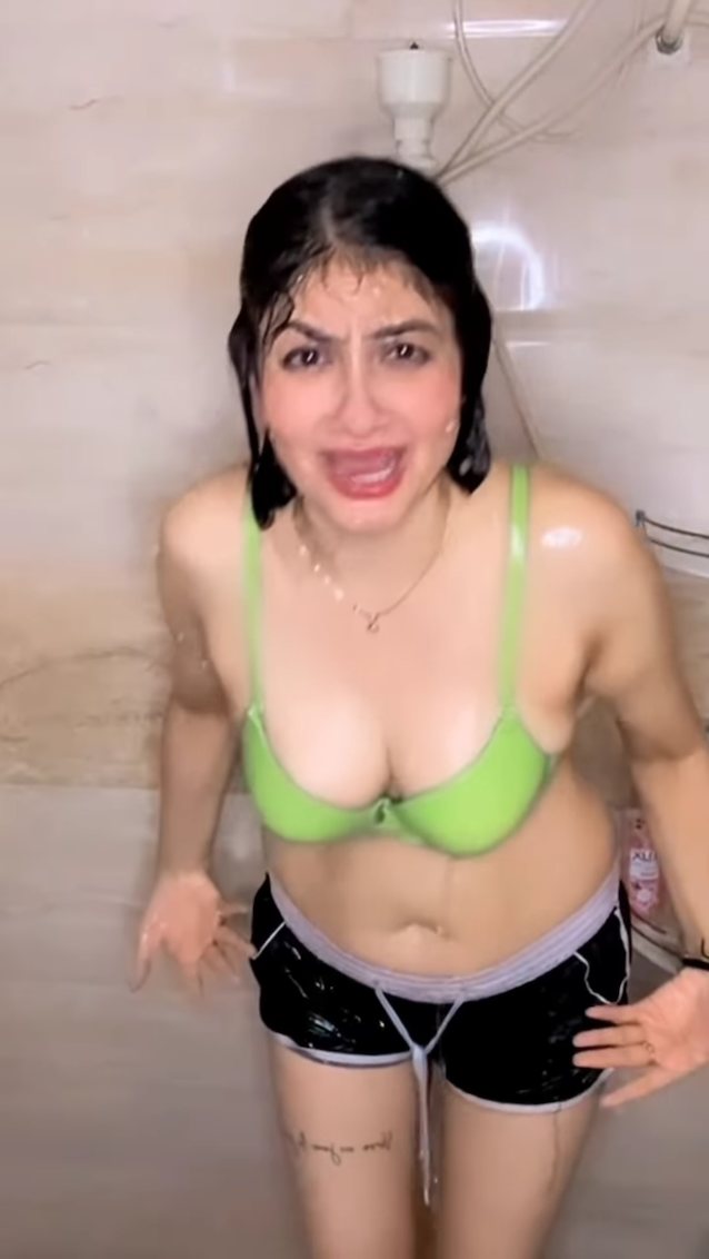 indian, desi, indian girl, indian insta girl, indian hot model