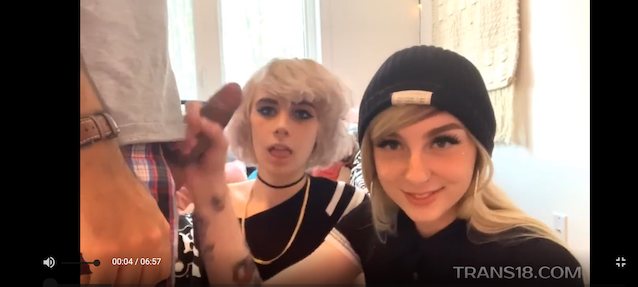 trans shemale transgender