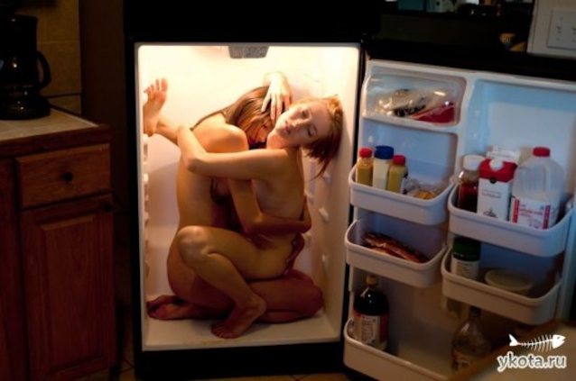 kitchen, fridge, lesbian, anal, refrigerator