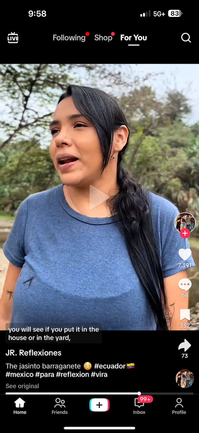 darkhair latino bigboobs