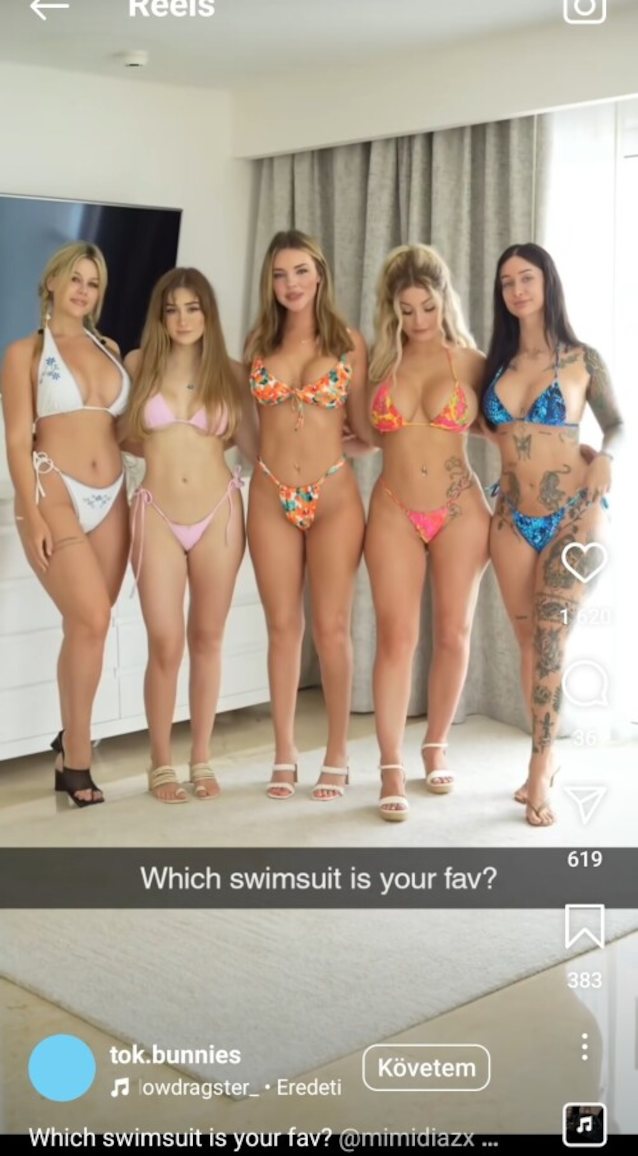 blondie curvy bikini