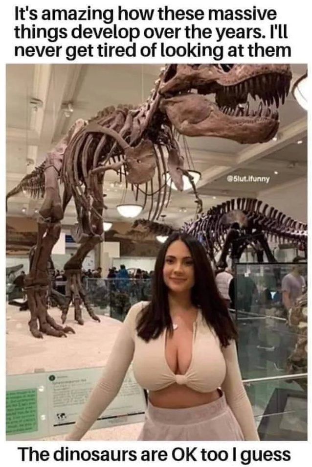 big tits brune meme