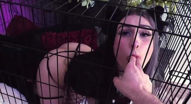 bdsm cage dog