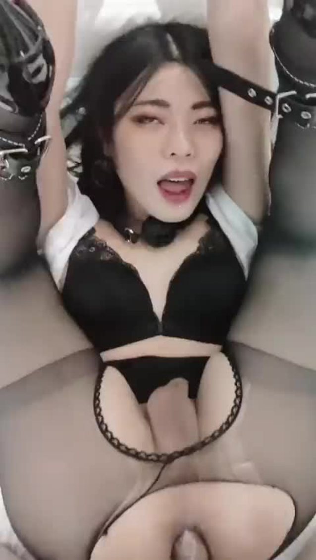 asian asian shemale asian trans