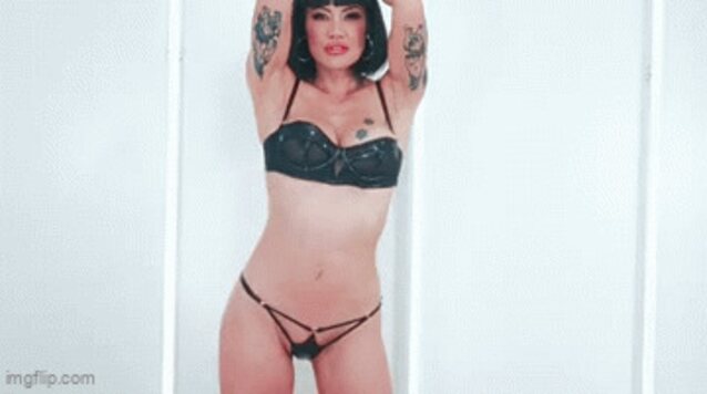 kitty chow in answer #2447074