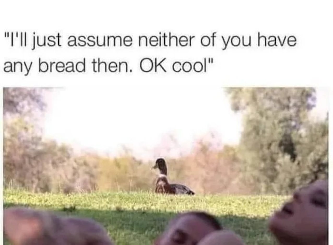 meme duck public