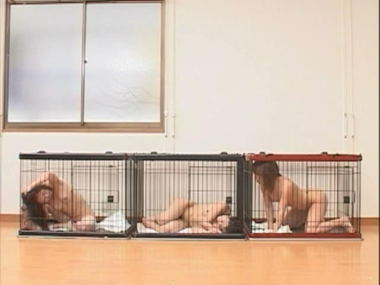 jav caged petgirl