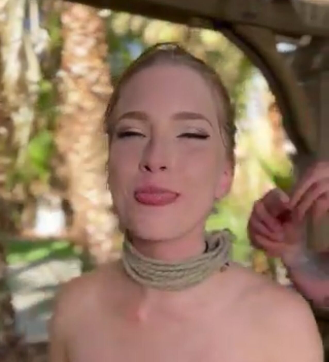 bdsm slave sex slave