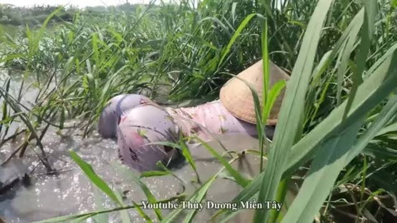 wet asian big ass