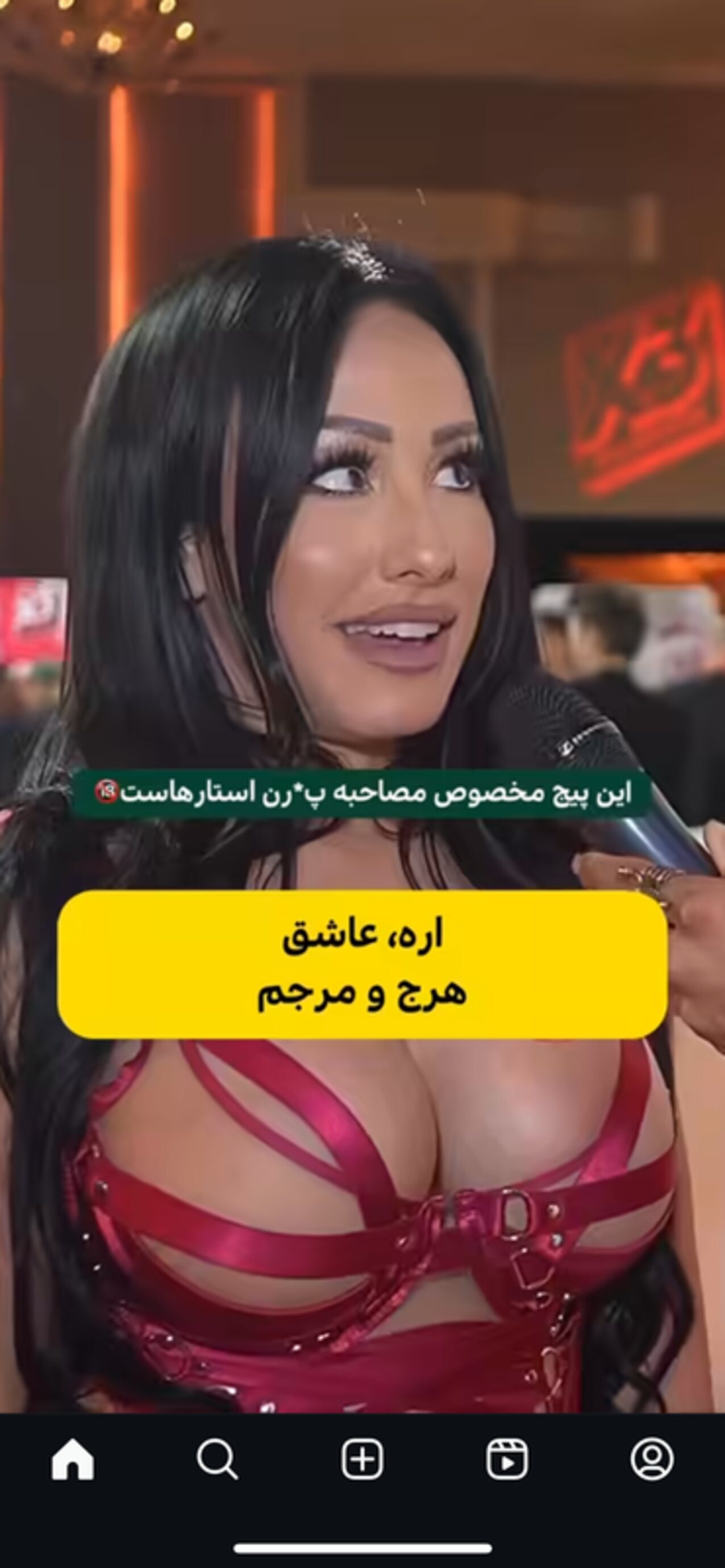 busty boob ass