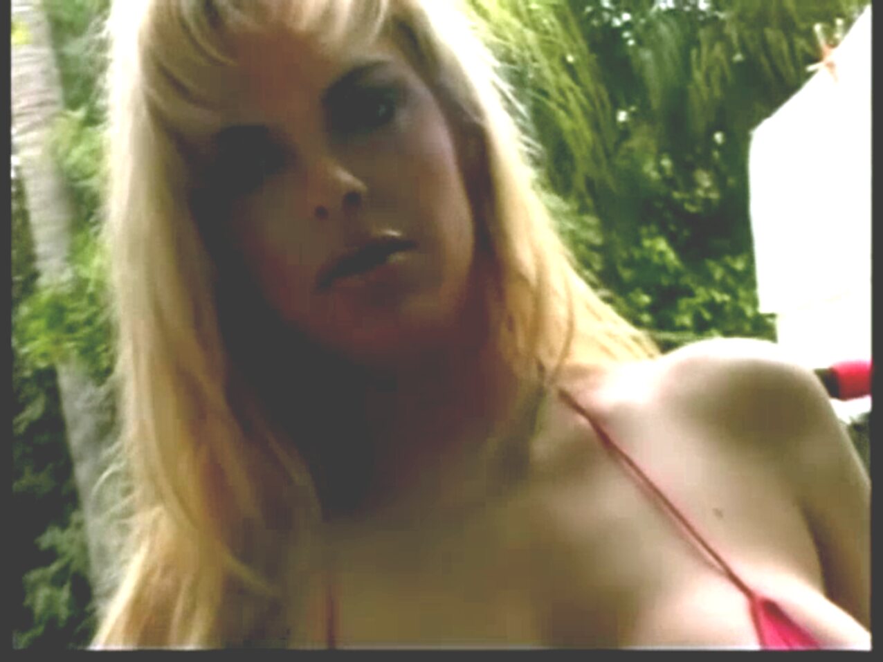 porn star big tits huge tits
