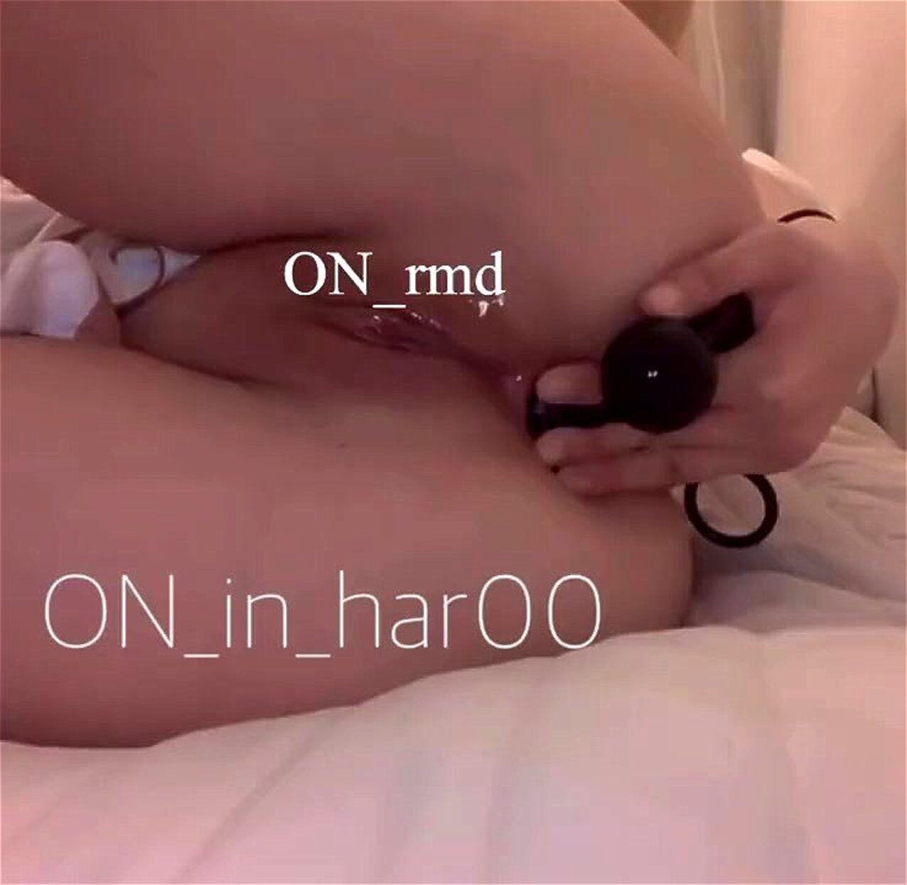 anal korean twitter