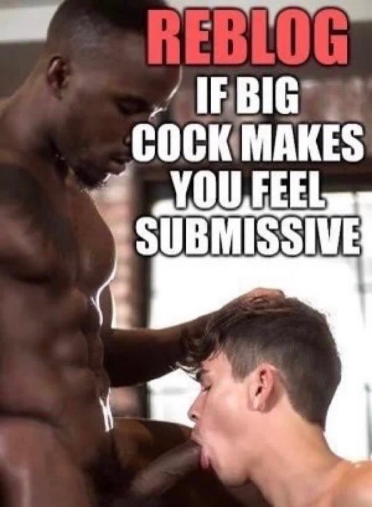 bbc sissy gay
