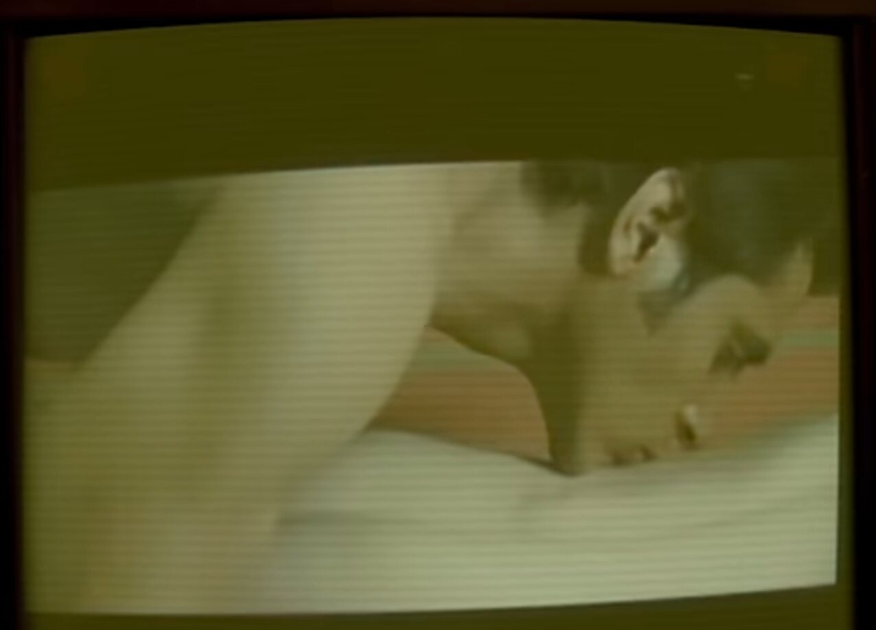 pornad bigtit hot