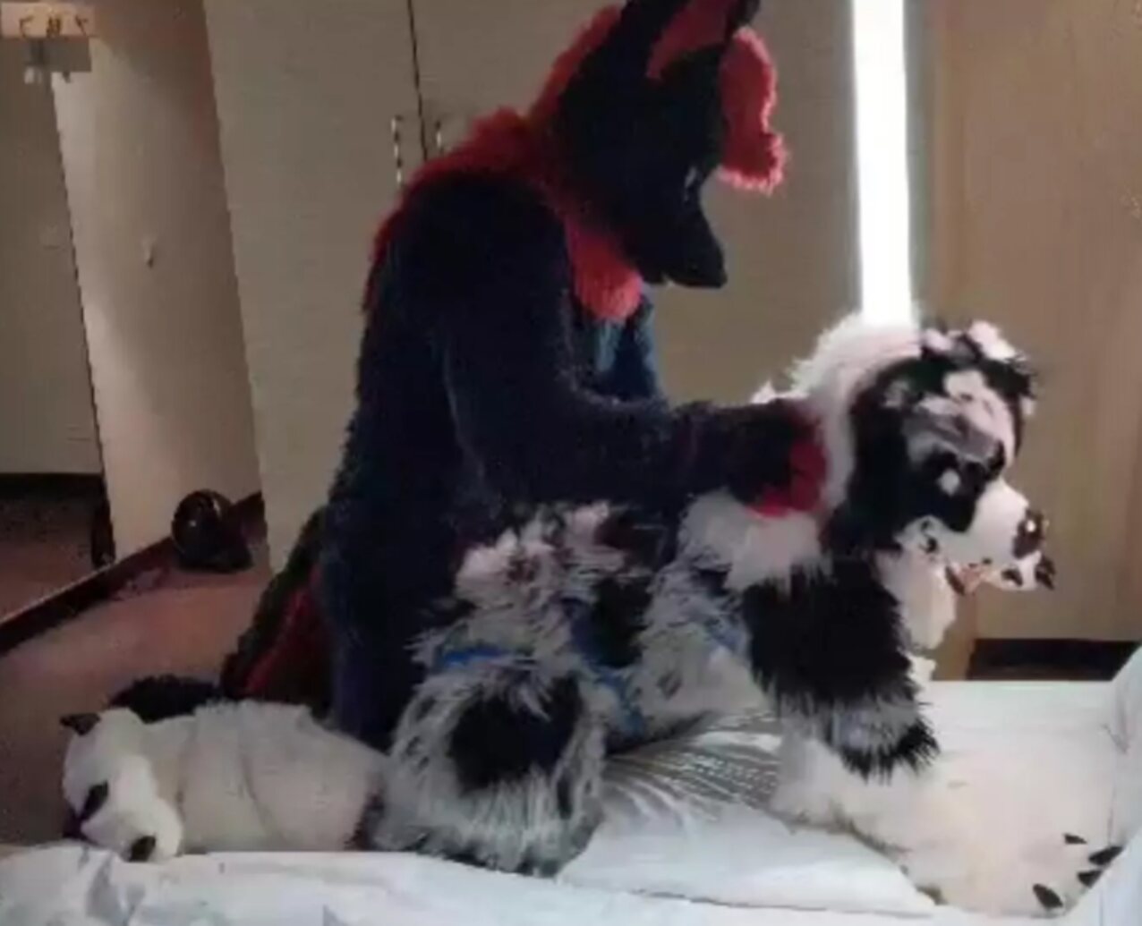 furry gay fursuit