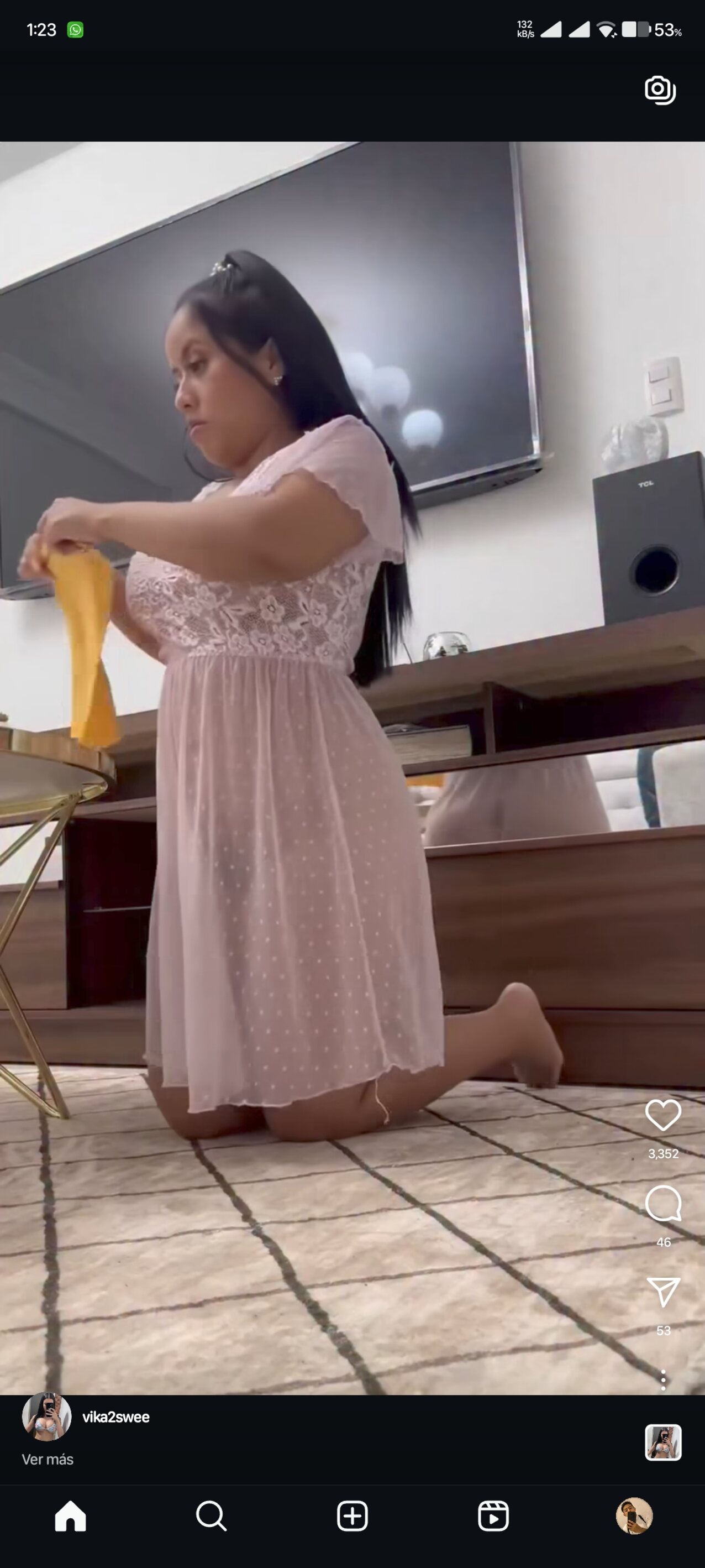see thru transparent housewife
