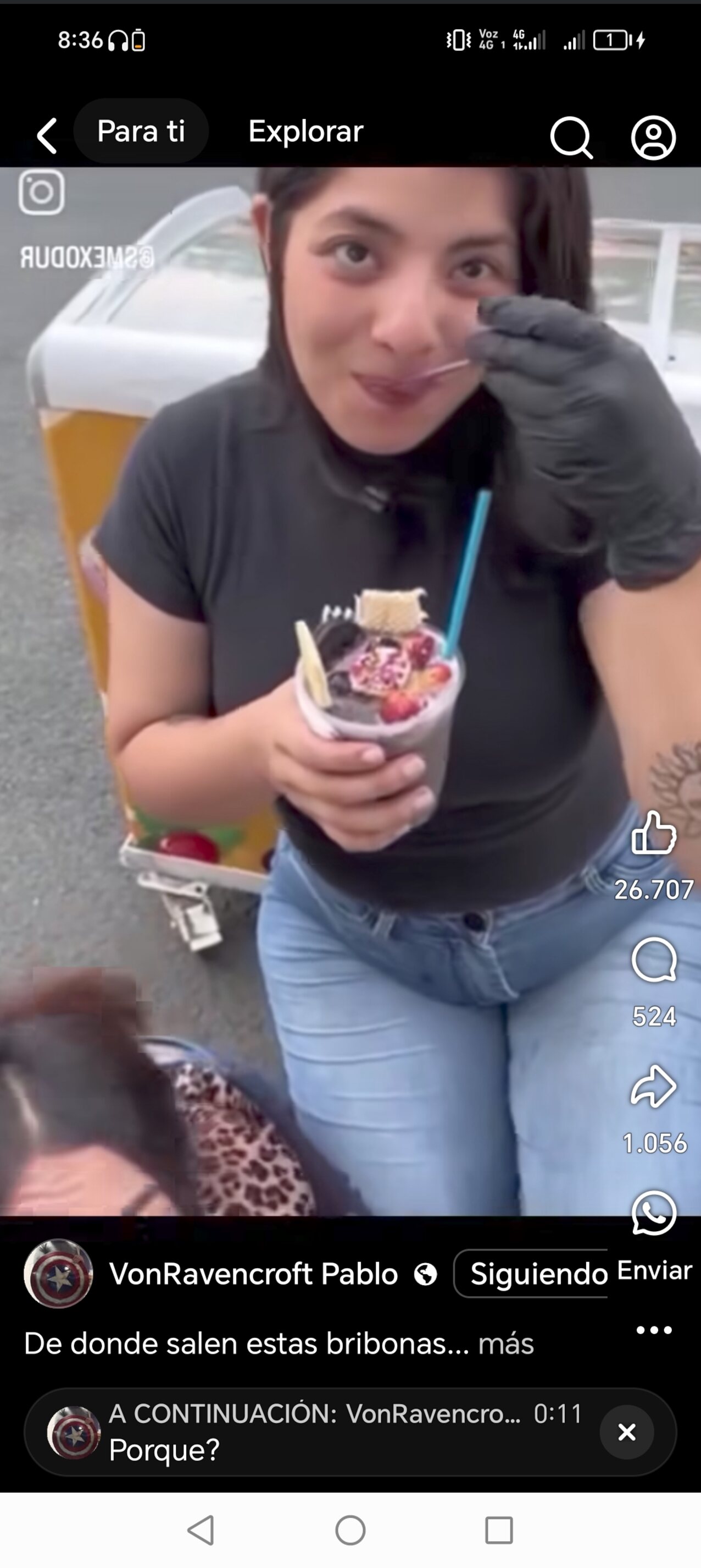 public food ice