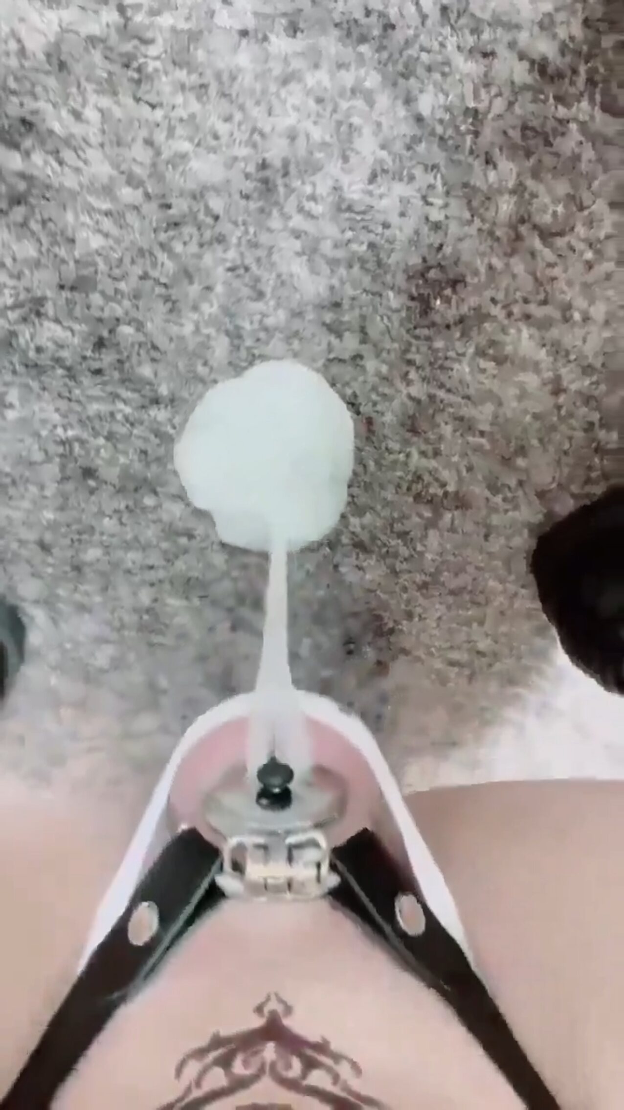 chastity cage shemale trans