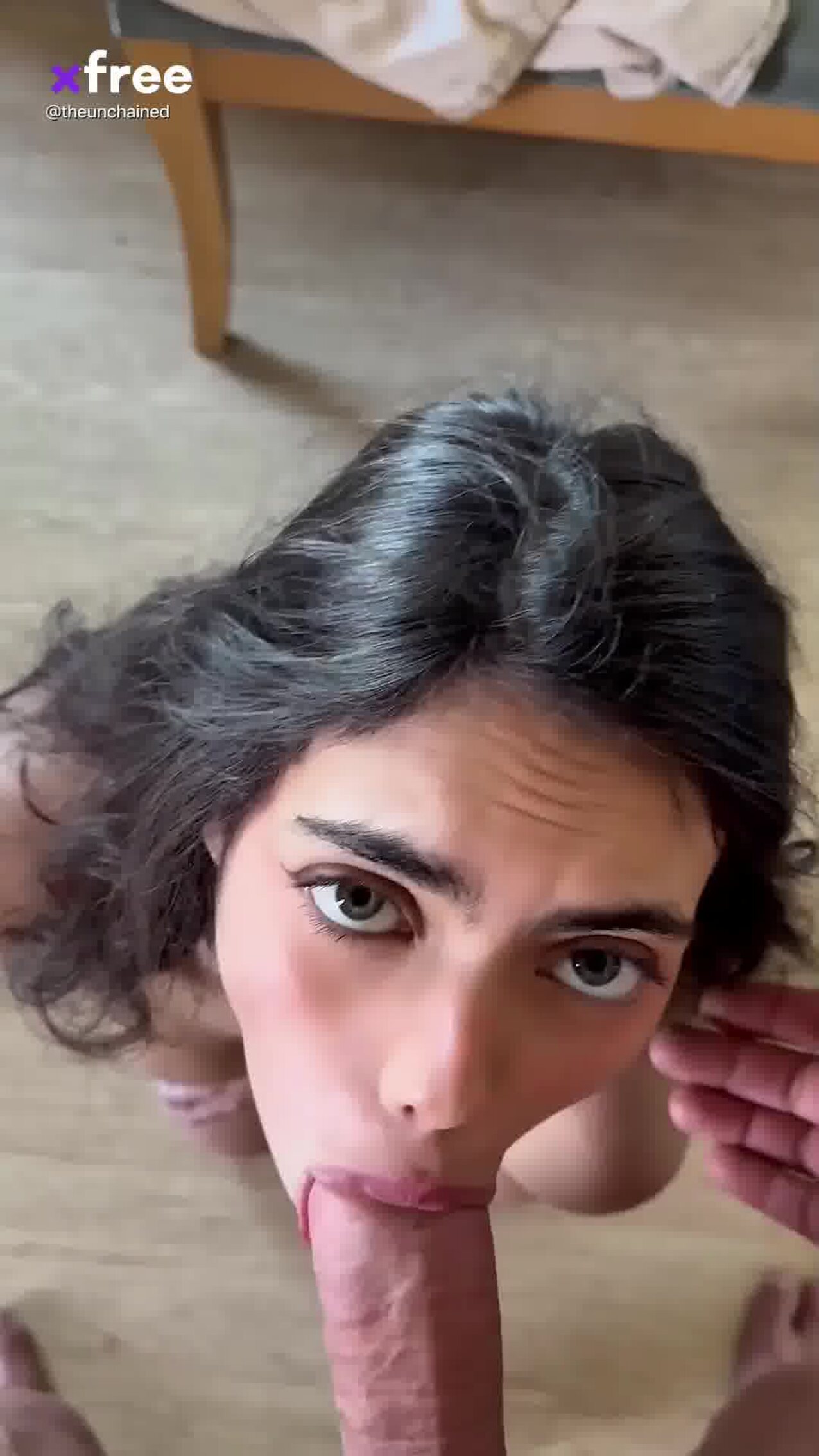 latin latina arab