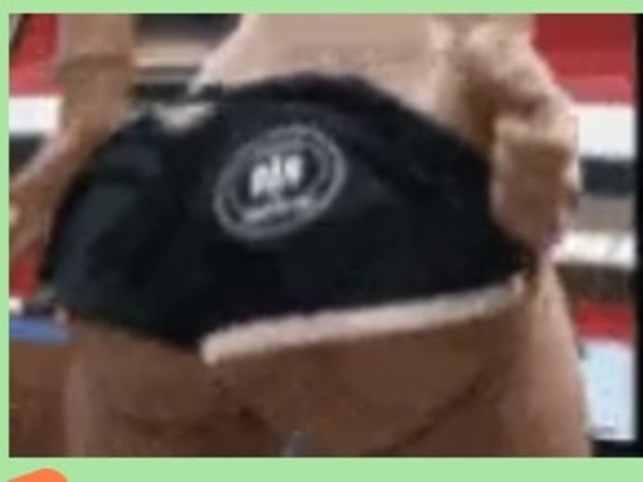 ass pull down sport short