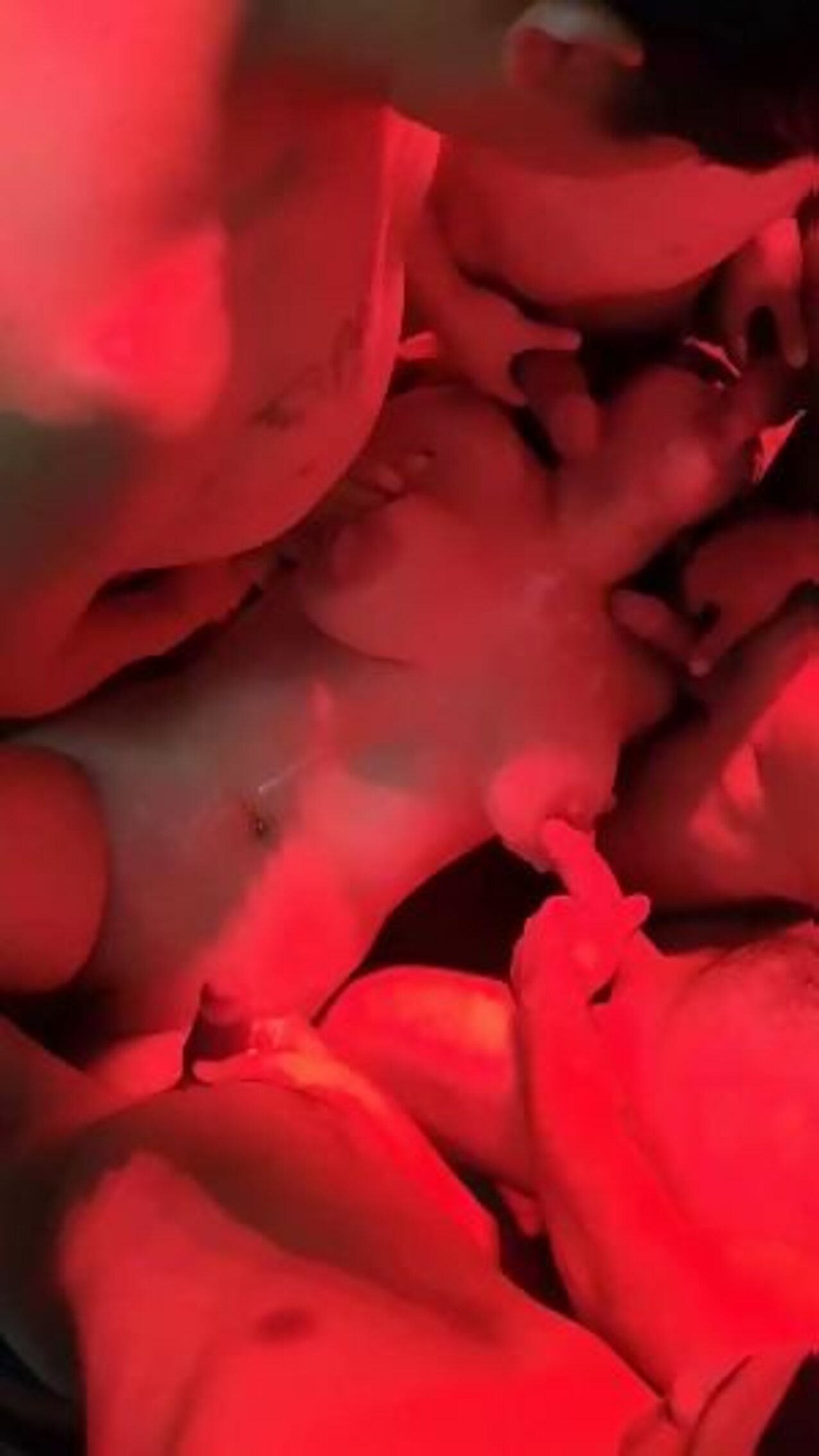 group dick slap gangbang