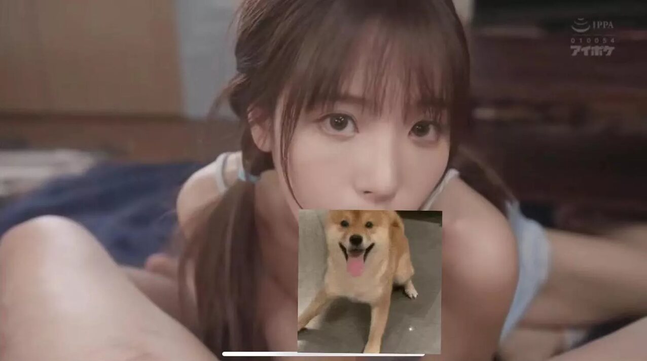 jav japanese blowjob
