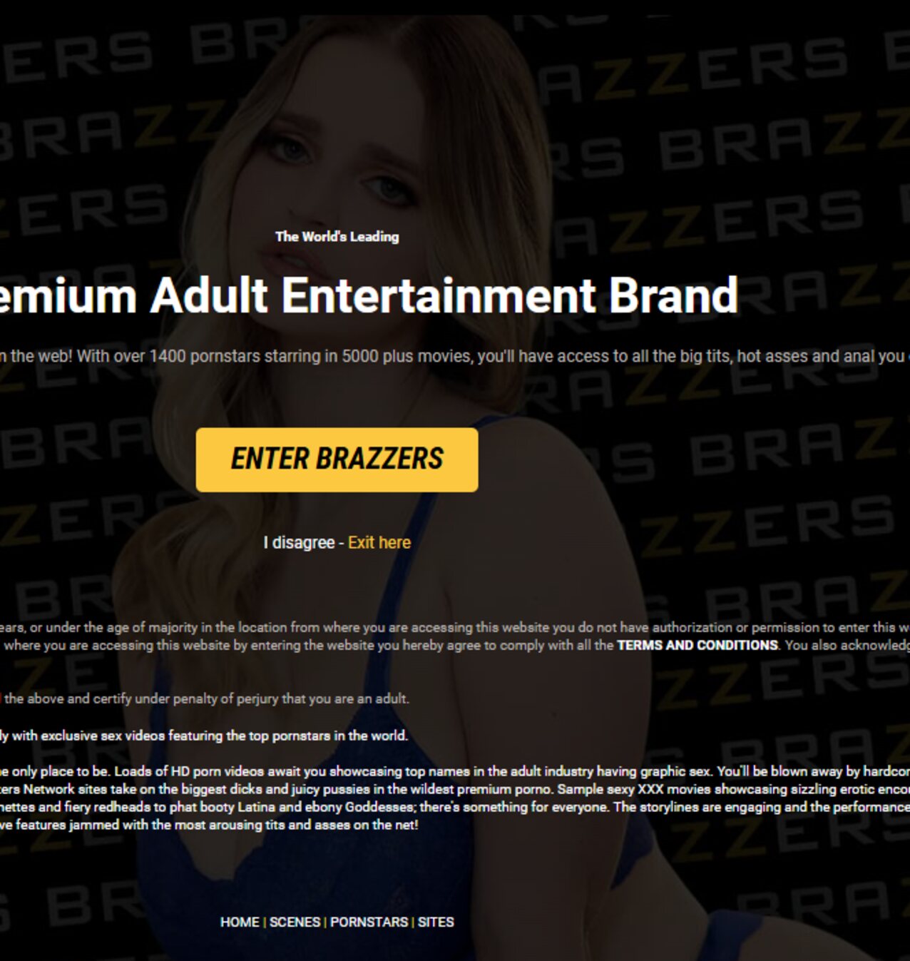 blonde brazzers homepage
