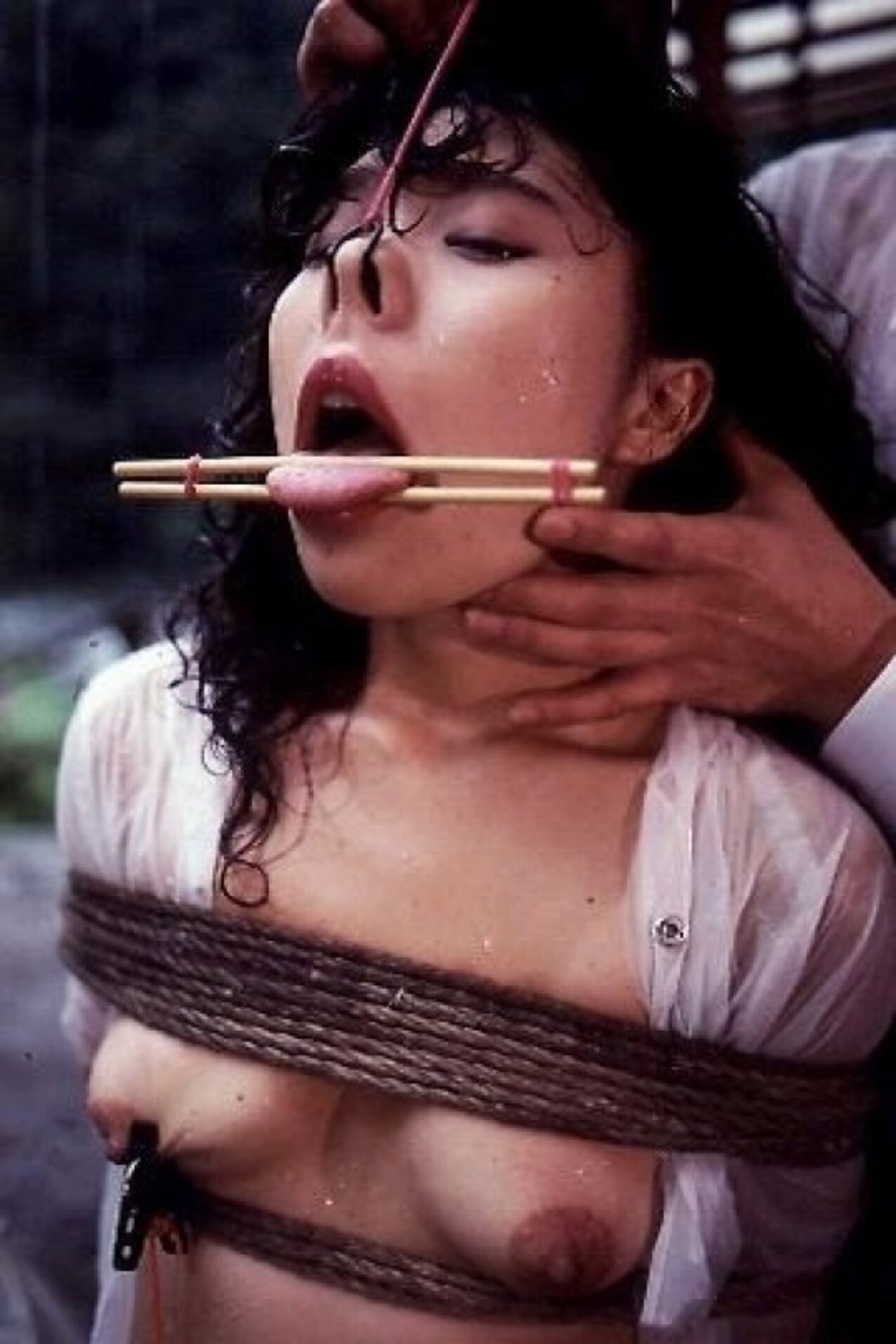 bdsm shibari rope