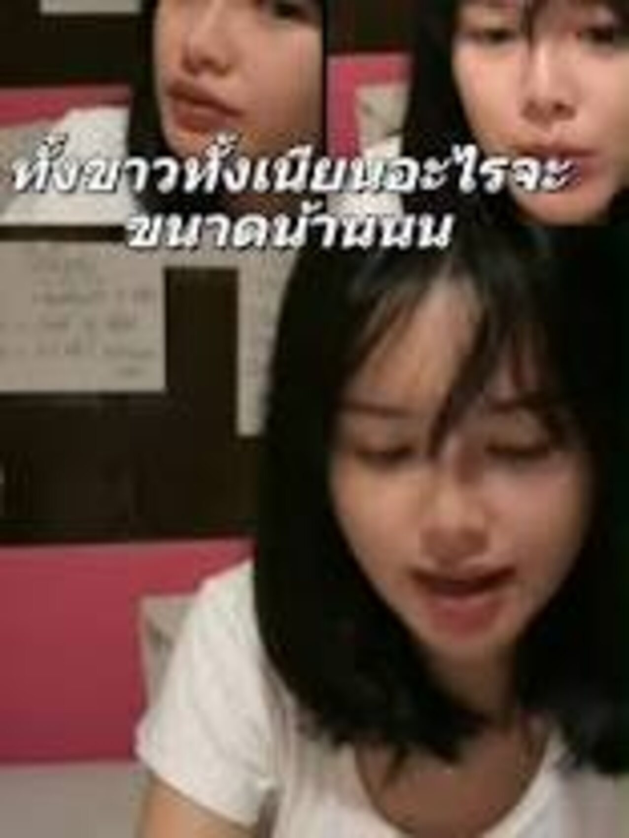 asian short hair gorgeous