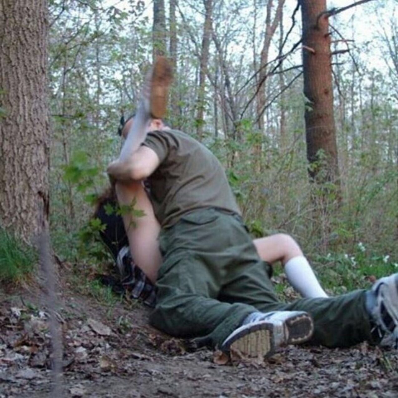 forest woods creep