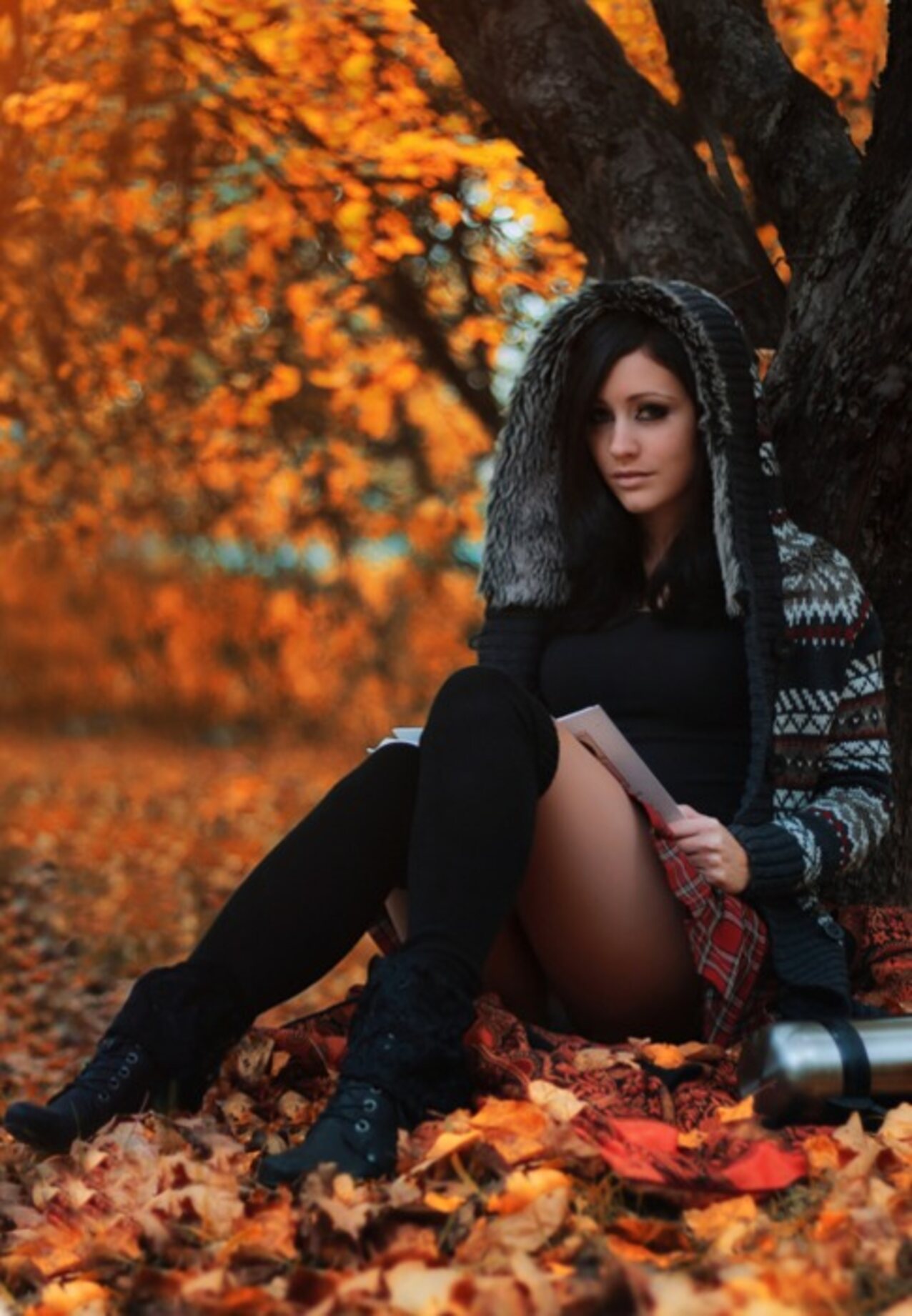 long legs pretty tree