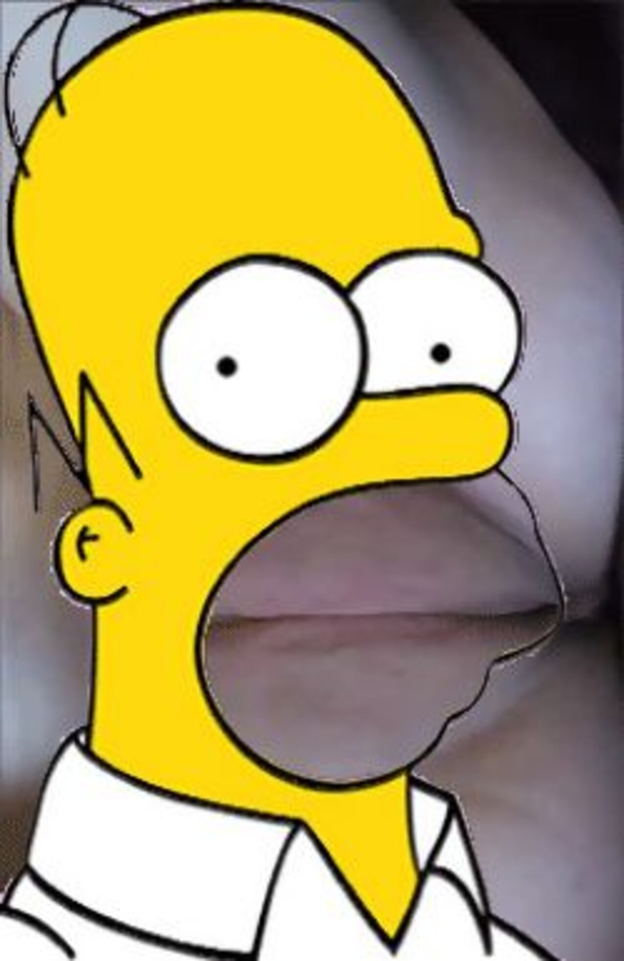 meme funny simpsons