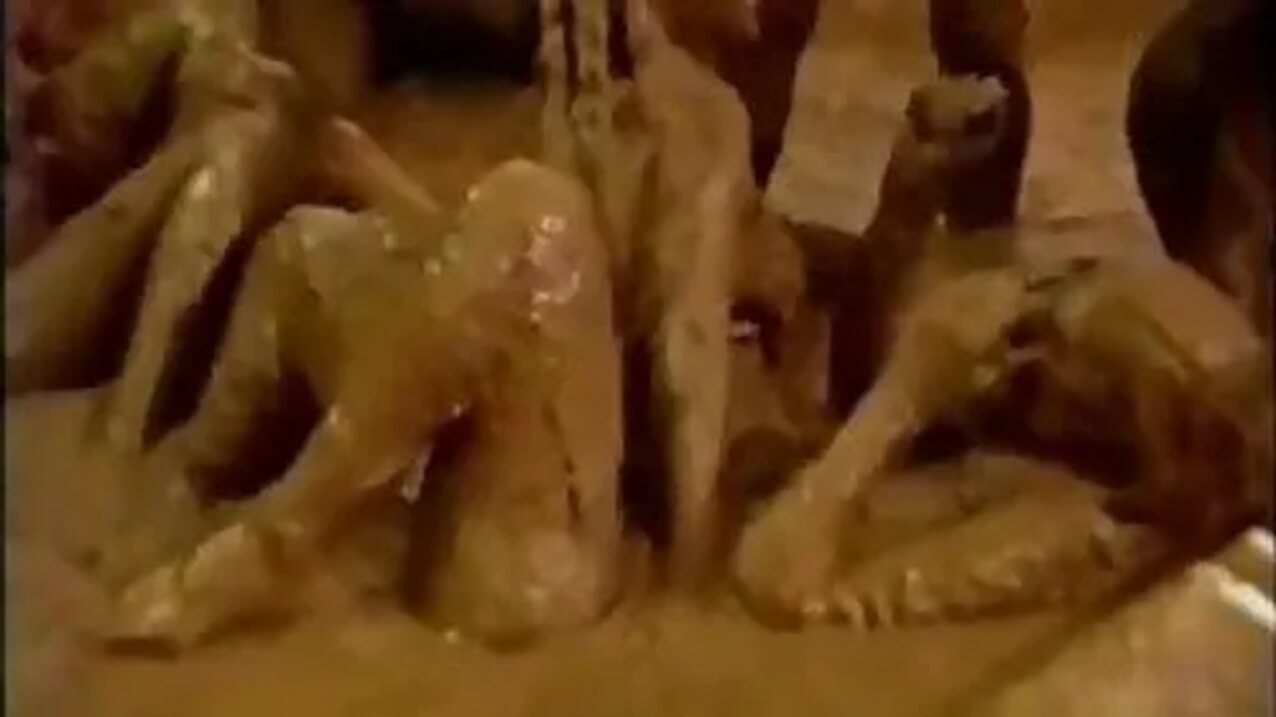 mud muddy wam