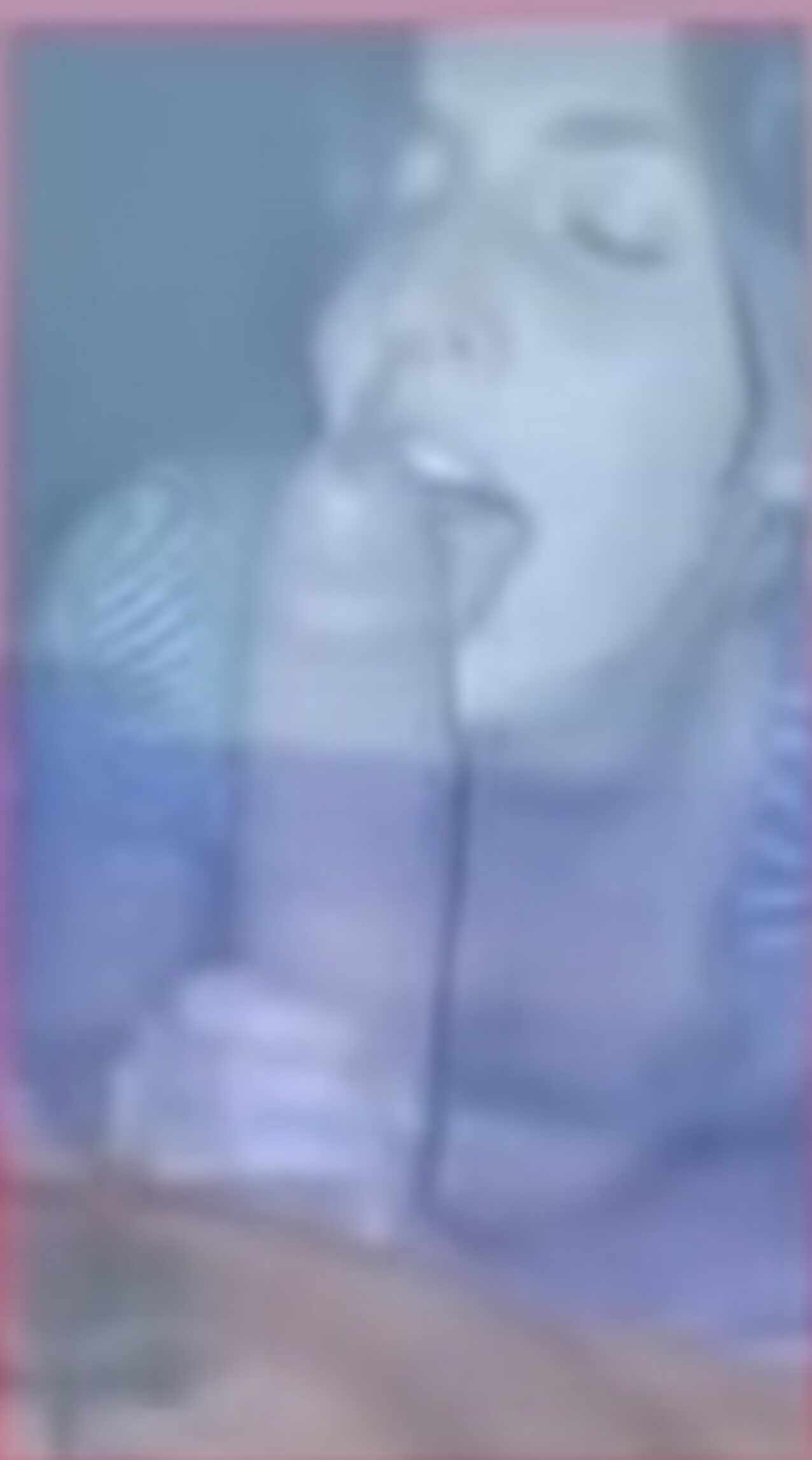 blowjob blow pov