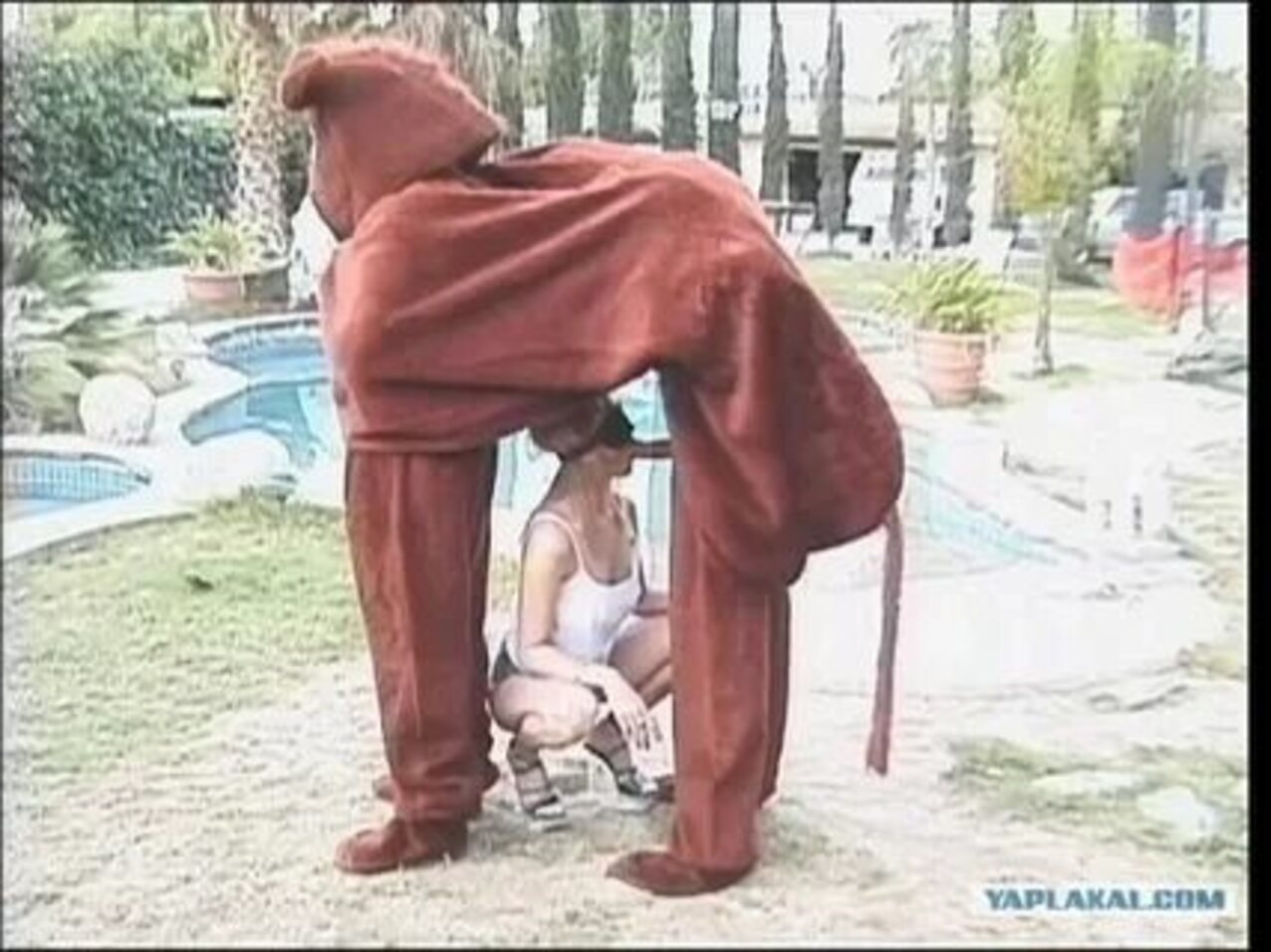 funny costume sex