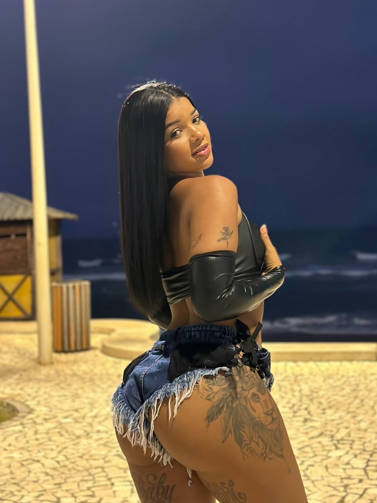 brazil brazilian latina
