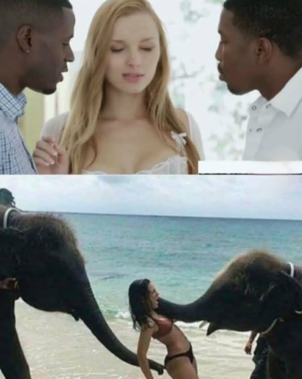 bbc black threesome