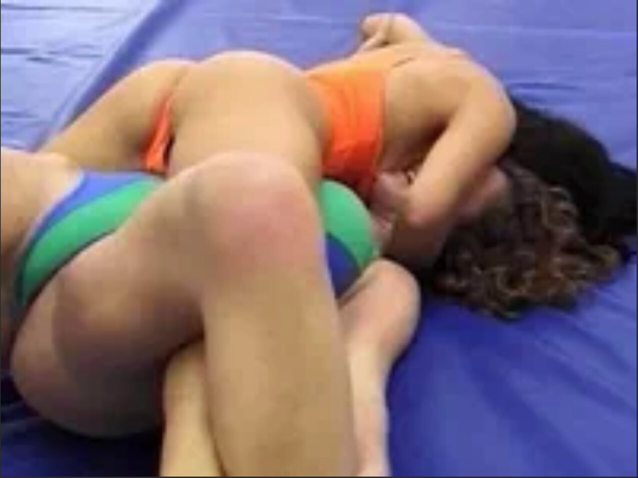 catfight lesbians lesbian