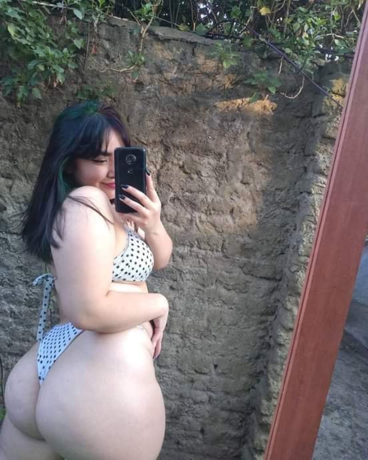 brazil brazilian latina