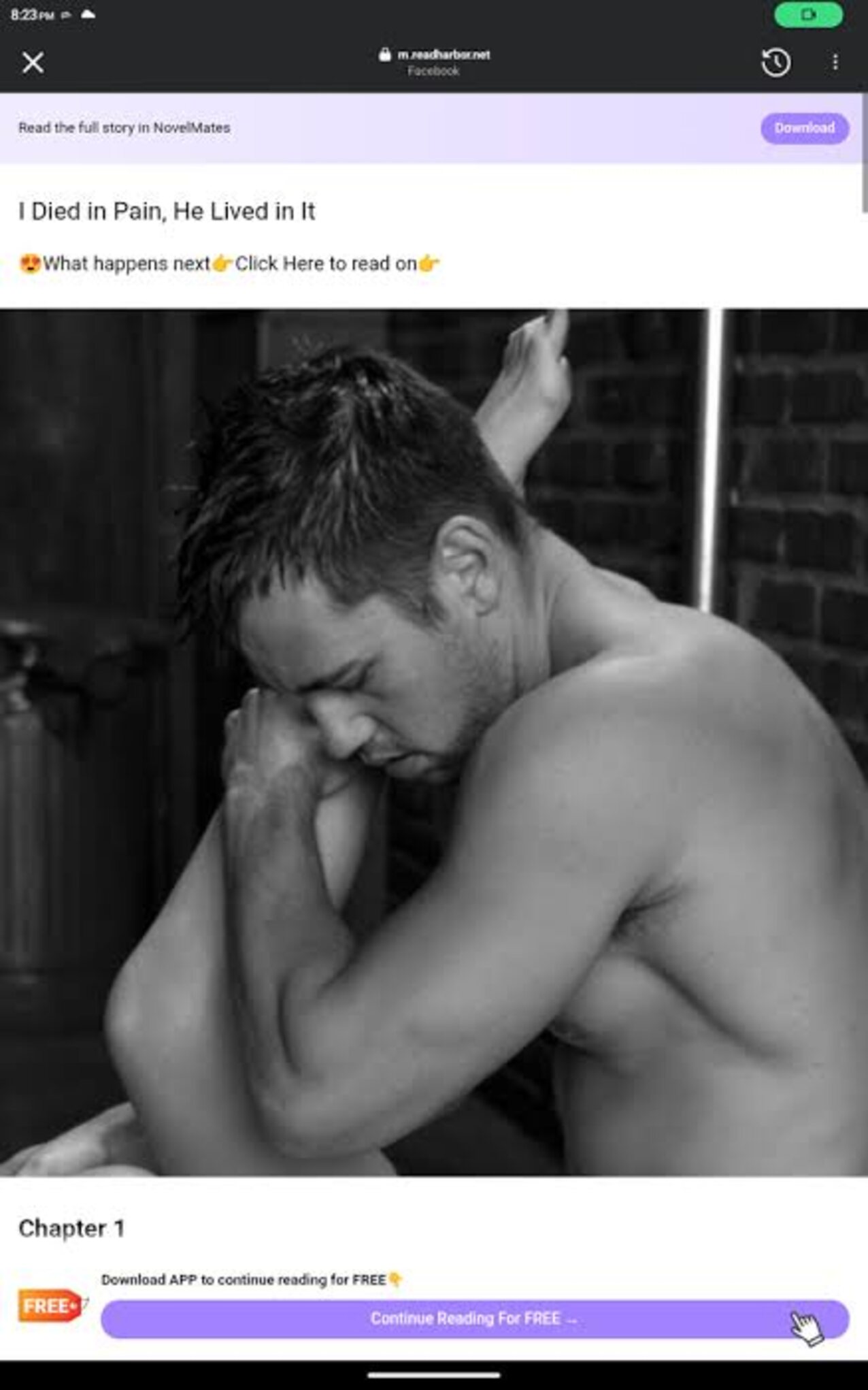 muscular stud pornstar