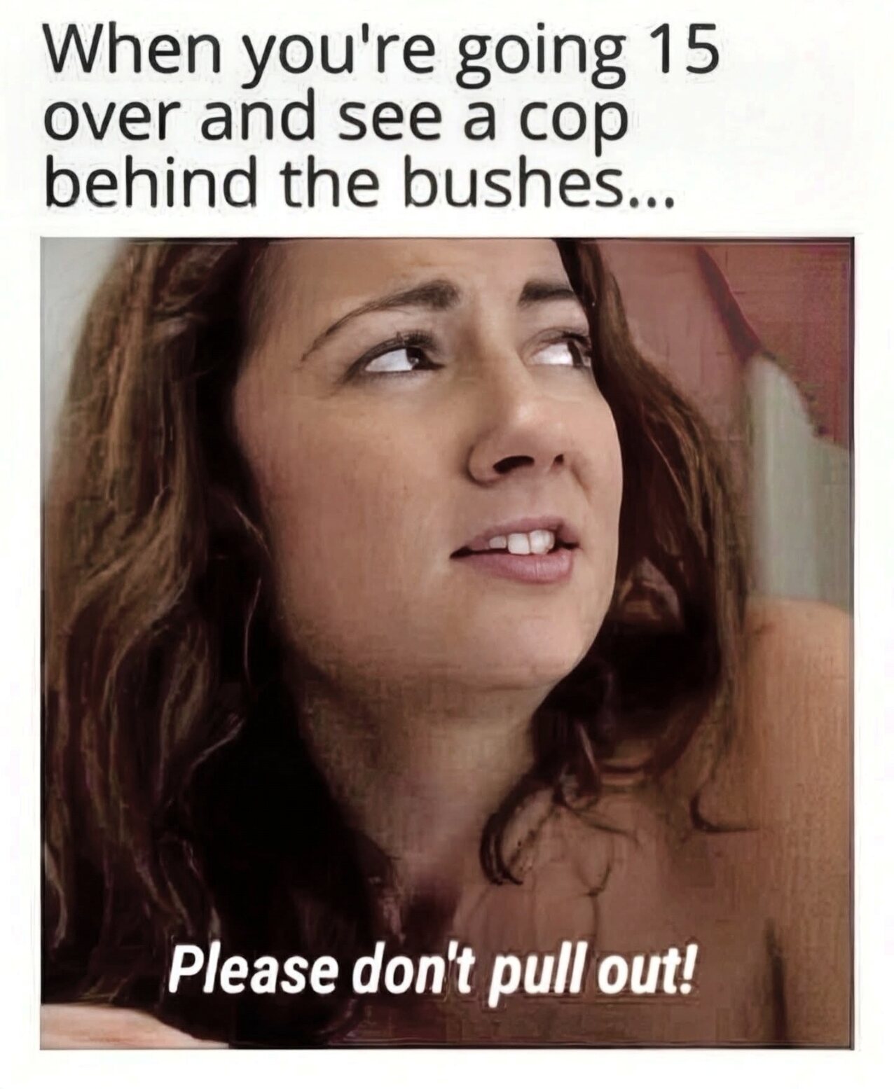 meme brunette doggy