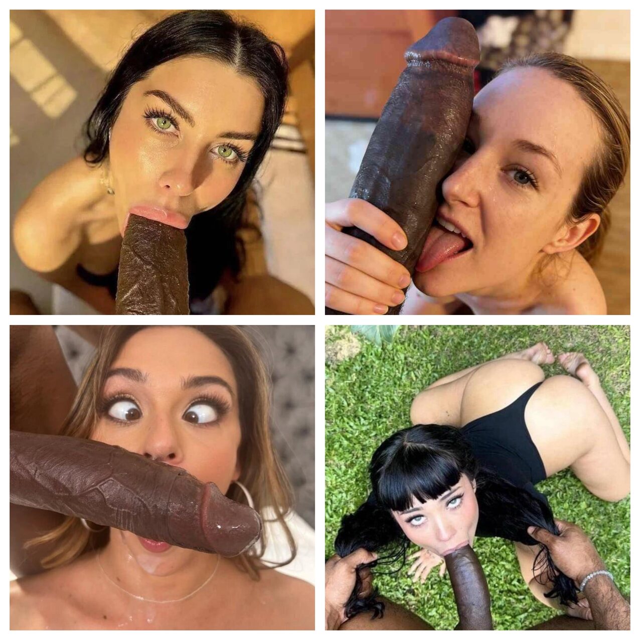 bbc huge cock big dick