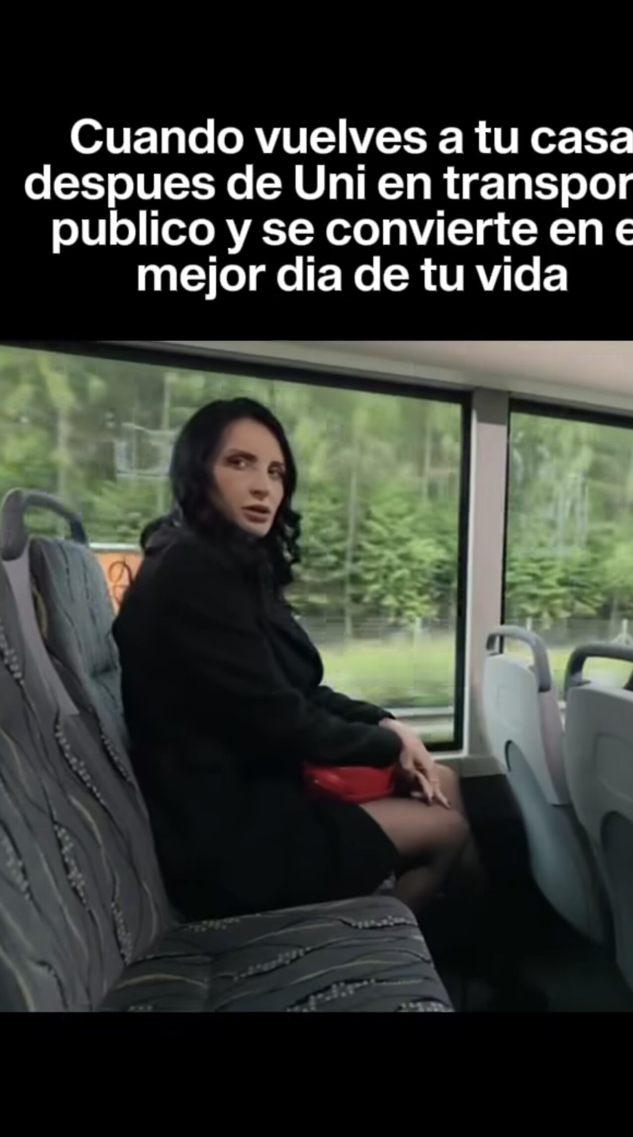 bus public brunet